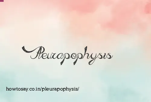 Pleurapophysis