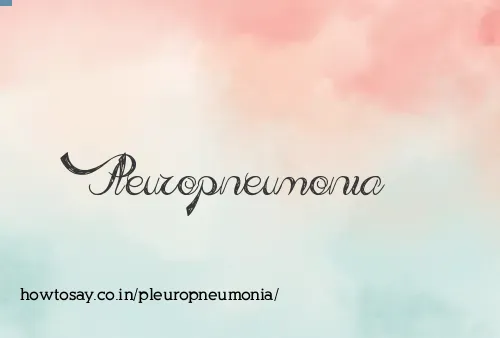 Pleuropneumonia