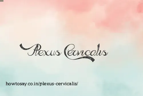 Plexus Cervicalis