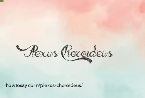 Plexus Choroideus