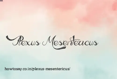 Plexus Mesentericus