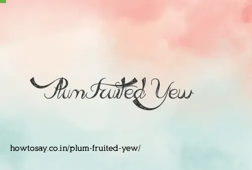 Plum Fruited Yew