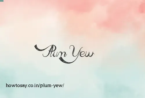 Plum Yew