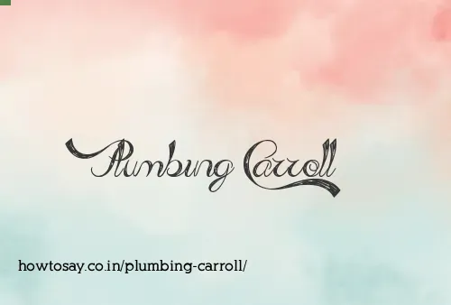 Plumbing Carroll