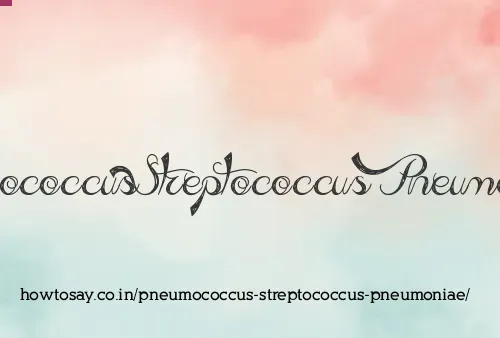 Pneumococcus Streptococcus Pneumoniae