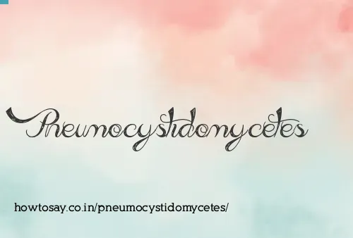 Pneumocystidomycetes