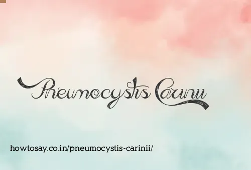 Pneumocystis Carinii