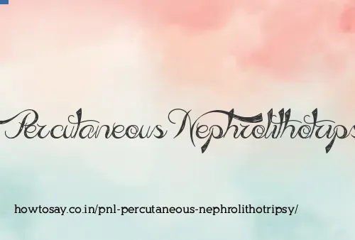 Pnl Percutaneous Nephrolithotripsy