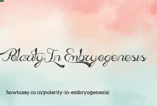 Polarity In Embryogenesis