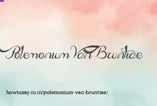 Polemonium Van Bruntiae