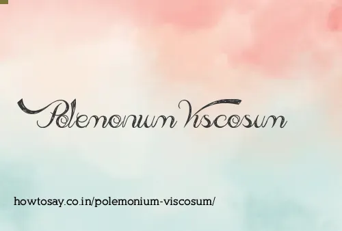 Polemonium Viscosum
