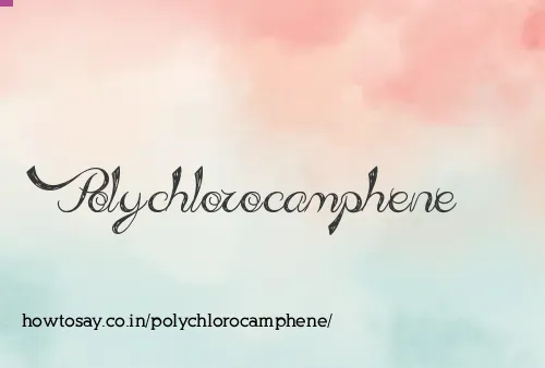 Polychlorocamphene