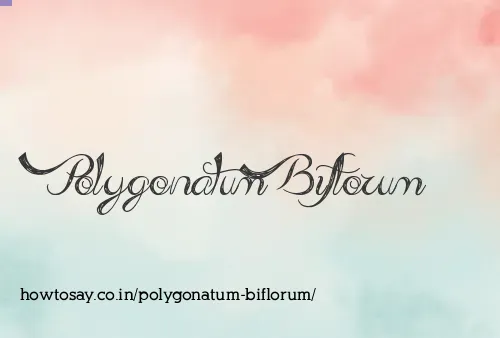 Polygonatum Biflorum