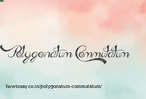Polygonatum Commutatum
