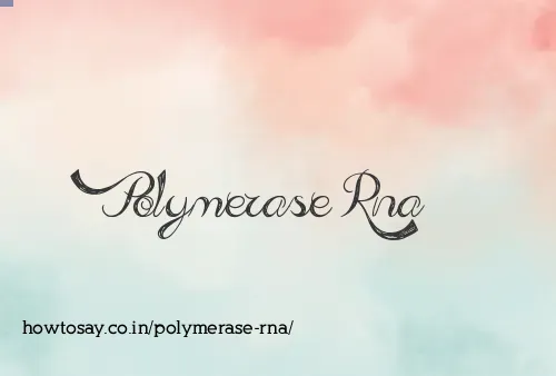 Polymerase Rna