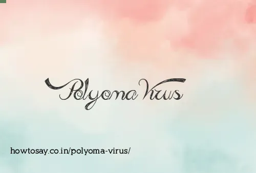 Polyoma Virus