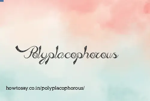 Polyplacophorous