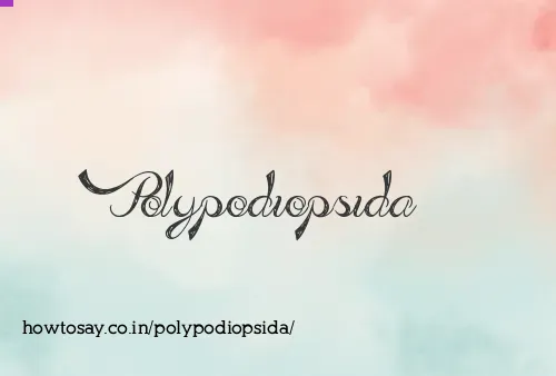 Polypodiopsida