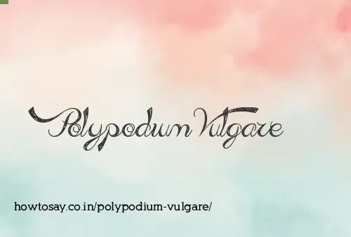 Polypodium Vulgare
