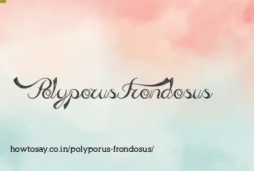 Polyporus Frondosus