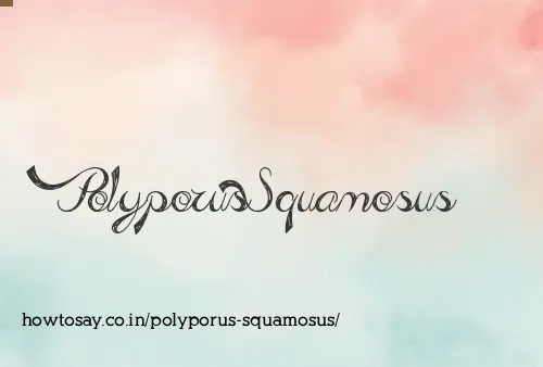 Polyporus Squamosus