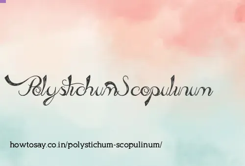 Polystichum Scopulinum