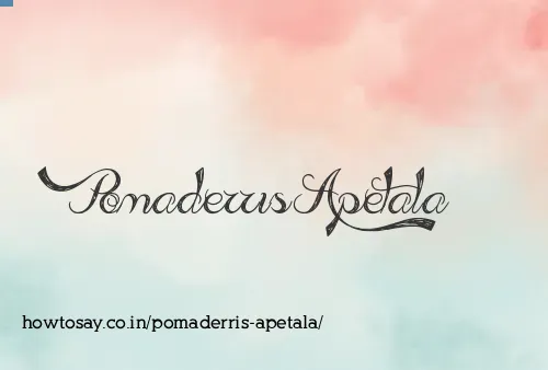 Pomaderris Apetala