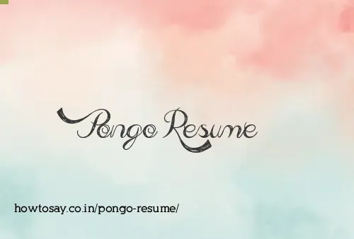 Pongo Resume