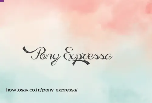 Pony Expressa
