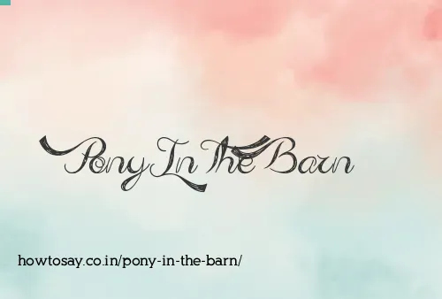 Pony In The Barn
