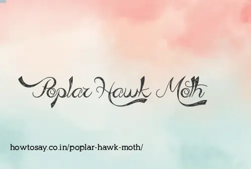 Poplar Hawk Moth