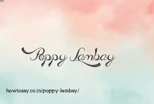 Poppy Lambay