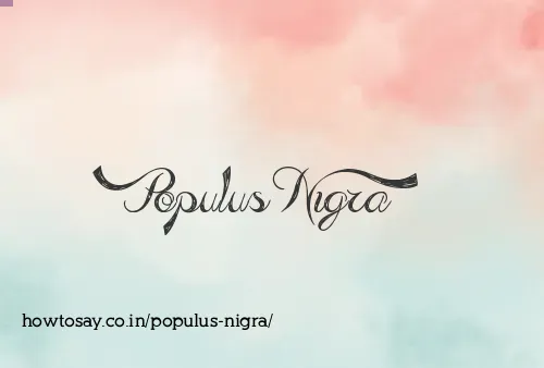 Populus Nigra
