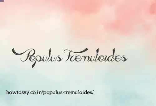 Populus Tremuloides