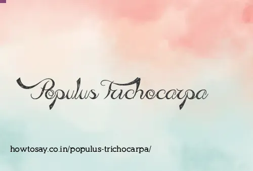 Populus Trichocarpa
