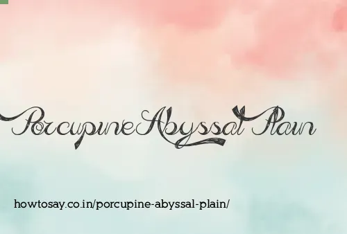 Porcupine Abyssal Plain
