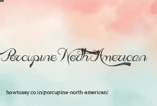 Porcupine North American