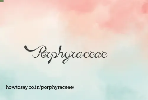 Porphyraceae