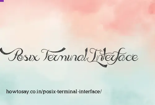 Posix Terminal Interface
