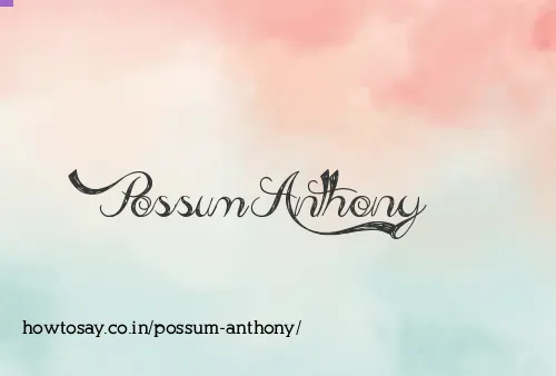 Possum Anthony