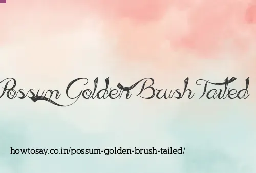 Possum Golden Brush Tailed