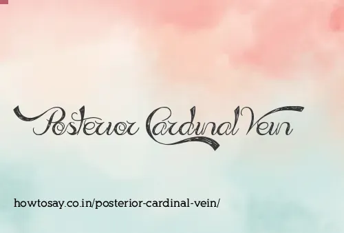Posterior Cardinal Vein