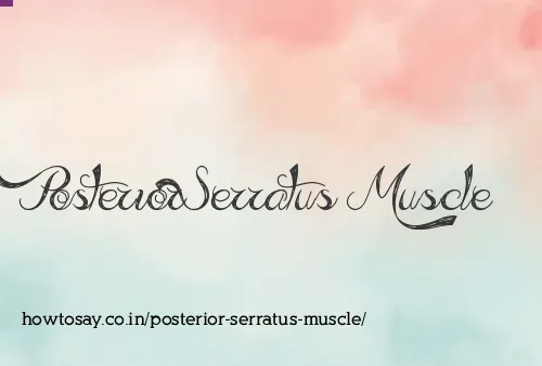 Posterior Serratus Muscle