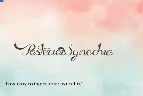 Posterior Synechia