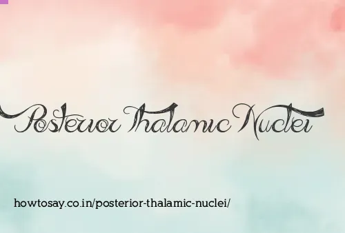 Posterior Thalamic Nuclei