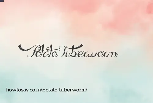 Potato Tuberworm