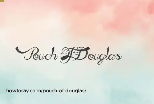 Pouch Of Douglas