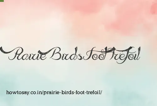 Prairie Birds Foot Trefoil