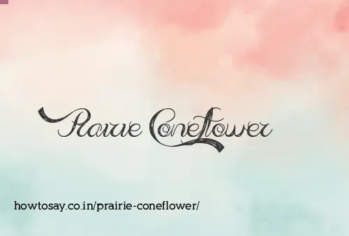 Prairie Coneflower