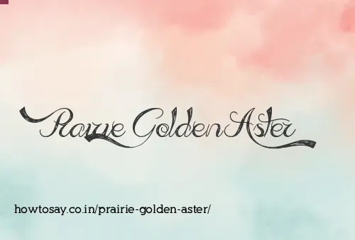 Prairie Golden Aster